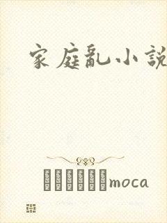 家庭乱小说