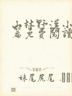 山林野汉小说全篇免费阅读