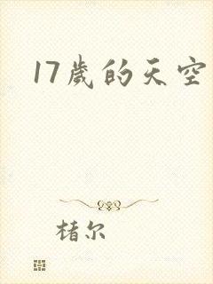 17岁的天空