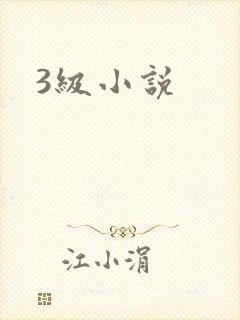 3级小说