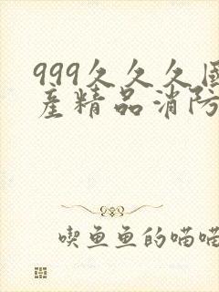 999久久久国产精品消防器材