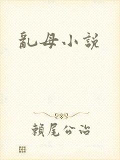 乱母小说
