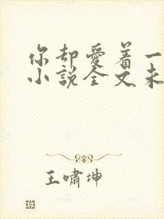 你却爱着一个他小说全文未删减免费