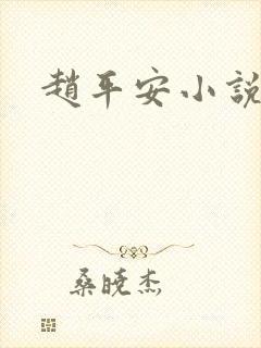 赵平安小说主角