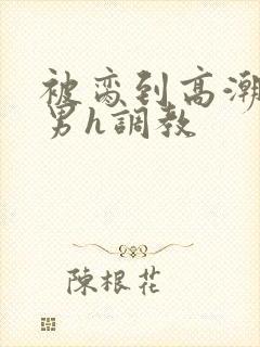 被脔到高潮的直男h调教