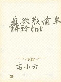 瘾欲欢愉半块小饼干tnt