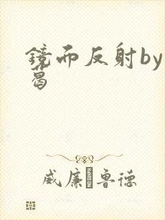 镜面反射by九葛