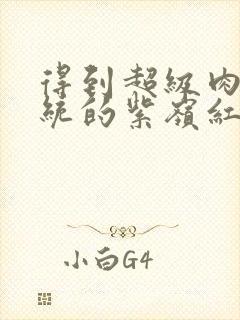 得到超级肉禽系统的紫岭红山