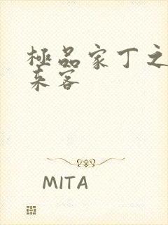 极品家丁之远方来客