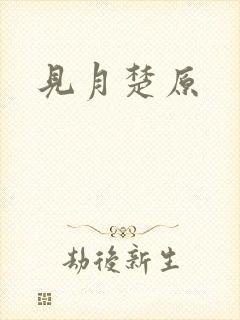 见月楚原