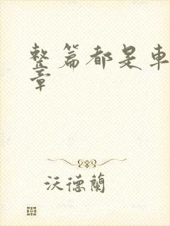 整篇都是车的文章