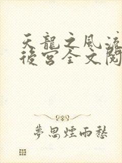 天龙之风流猎艳后宫全文阅读