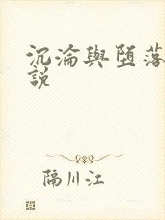 沉沦与堕落的小说