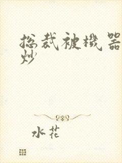 总裁被机器人爆炒