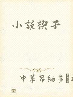 小说楔子