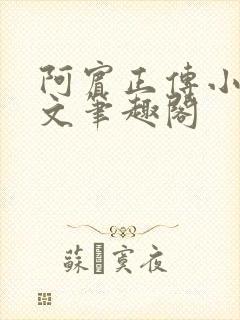 阿宾正传小说全文笔趣阁