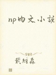 np肉文小说