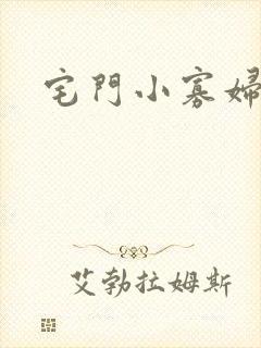 宅门小寡妇