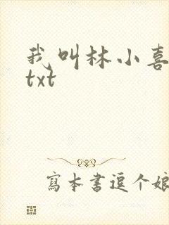 我叫林小喜小说txt