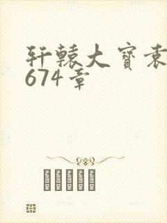 轩辕大宝袁雪妃674章