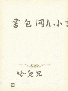 书包网h小说