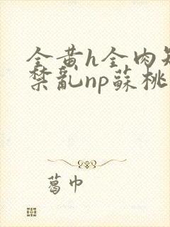 全黄h全肉短篇禁乱np苏桃