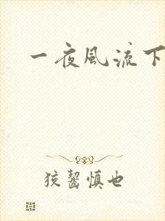 一夜风流下载