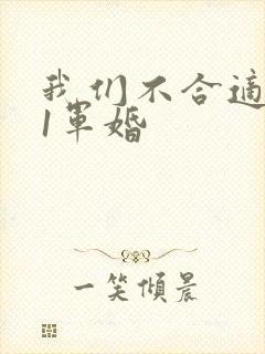 我们不合适1v1军婚