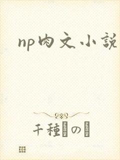 np肉文小说