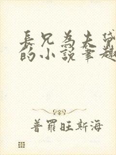 长兄为夫黛珂妃的小说笔趣阁全文