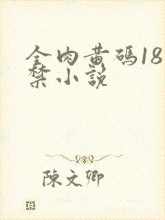 全肉黄码18无禁小说