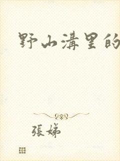 野山沟里的村庄