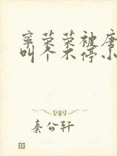 宁荣荣被唐三桶叫个不停小说