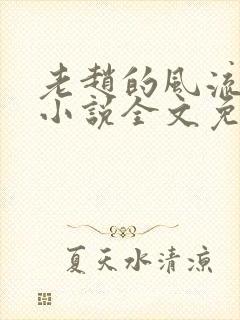 老赵的风流人生小说全文免费阅读