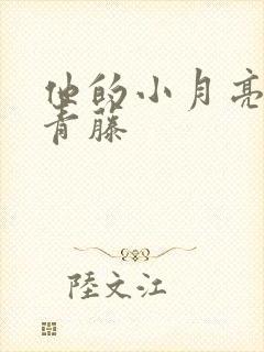 他的小月亮by青藤