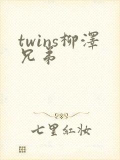 twins柳泽兄弟