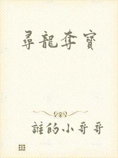 寻龙夺宝