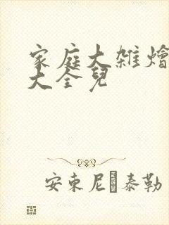 家庭大杂烩小说大全儿