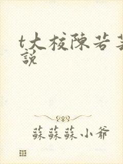 t大校陈若芸小说