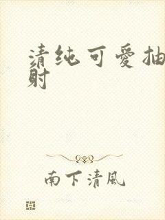 清纯可爱抽插内射