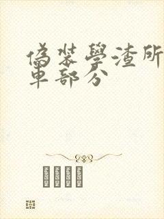 伪装学渣所有开车部分