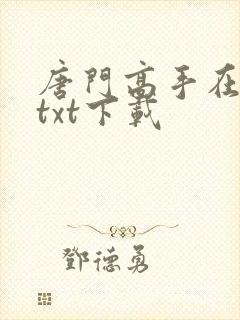 唐门高手在异世txt下载