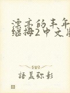 漂亮的丰年经的继拇2中文版