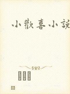 小欢喜小说