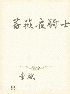蔷薇夜骑士