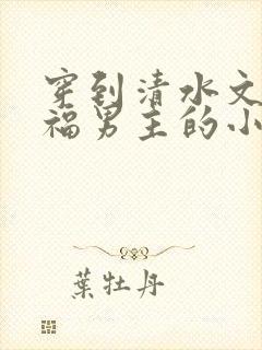 穿到清水文里造福男主的小说