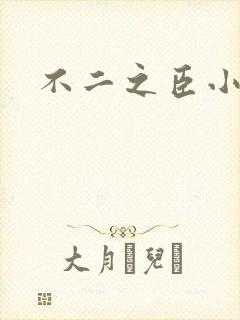 不二之臣小说