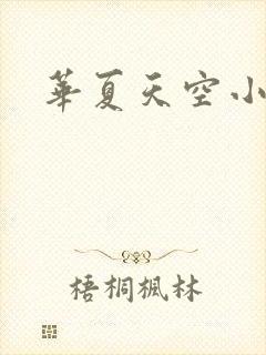 华夏天空小说网