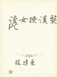 渣女撩汉系统NPC