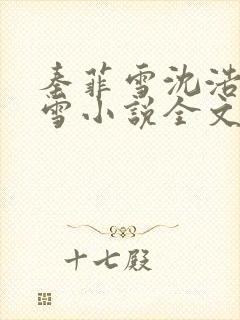 秦菲雪沈浩秦菲雪小说全文免费阅读求书